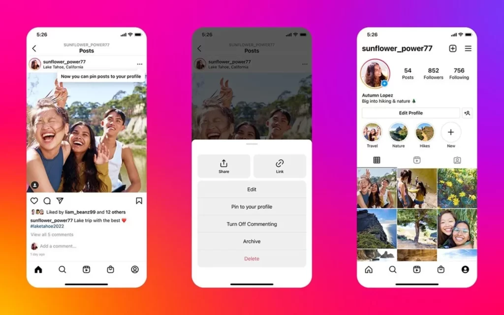  Instagram Grid Pinning Feature - Webservx