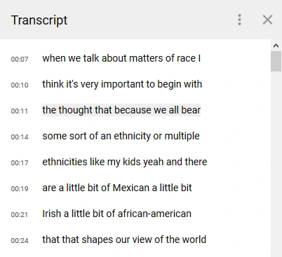 What is Youtube Transcript